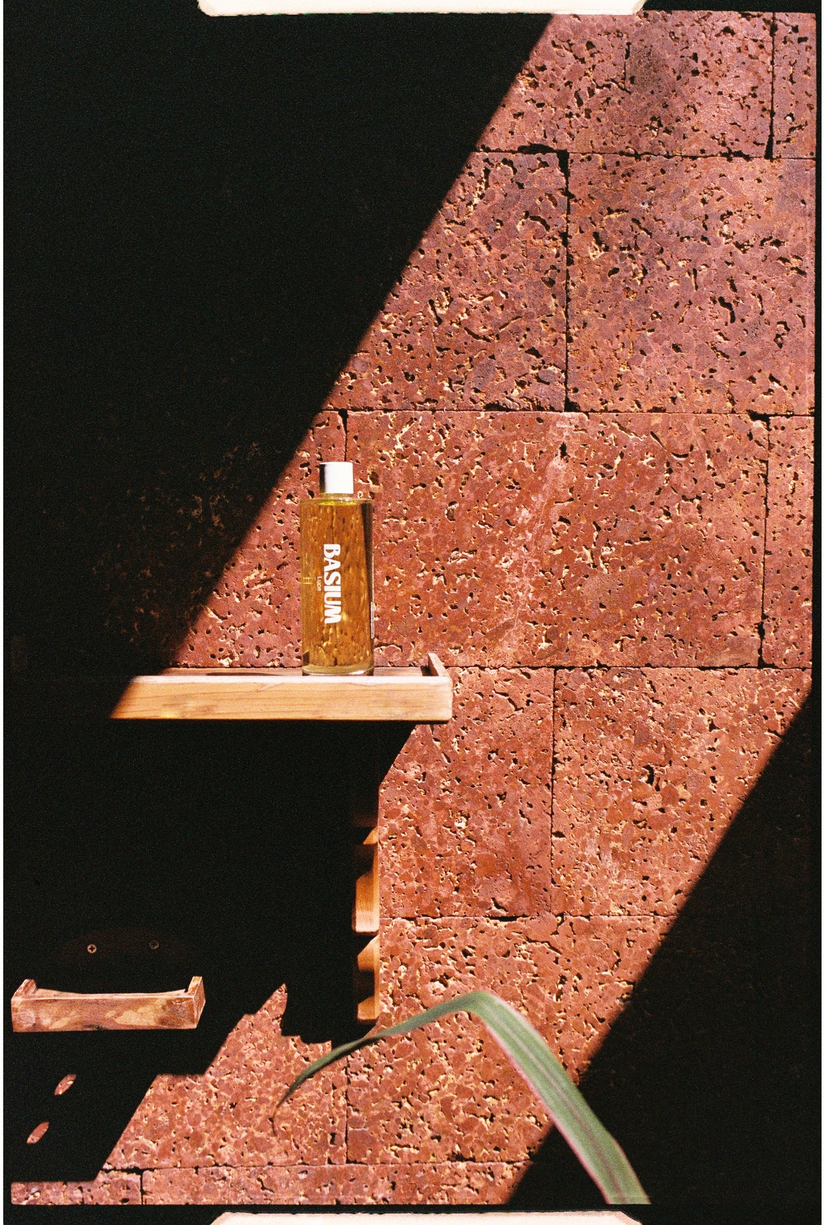 Ayurvedic Body Oil Luce