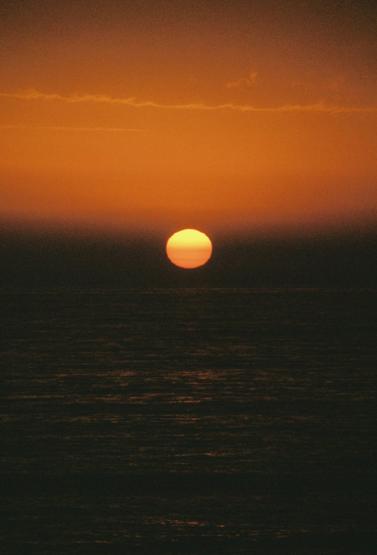 Nature over Noise: A Visual Journey.