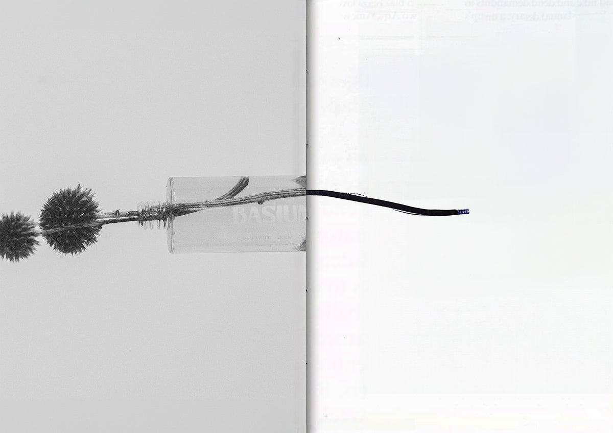 A Journey Through Nature by Nele Bogaerts and Hans Temmerman.