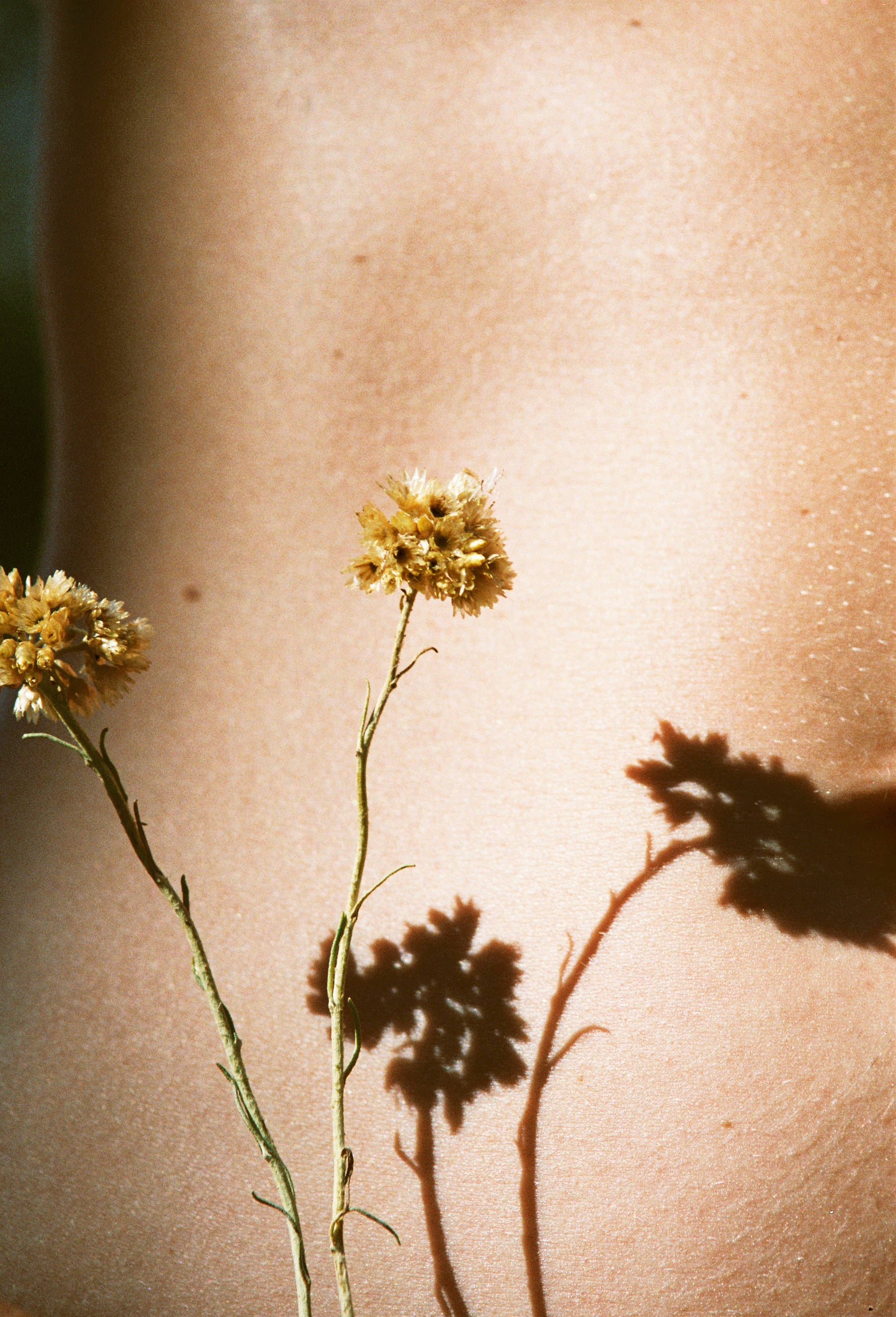 Why Natural Fragrance? It’s gentle on hormones and kind to skin.