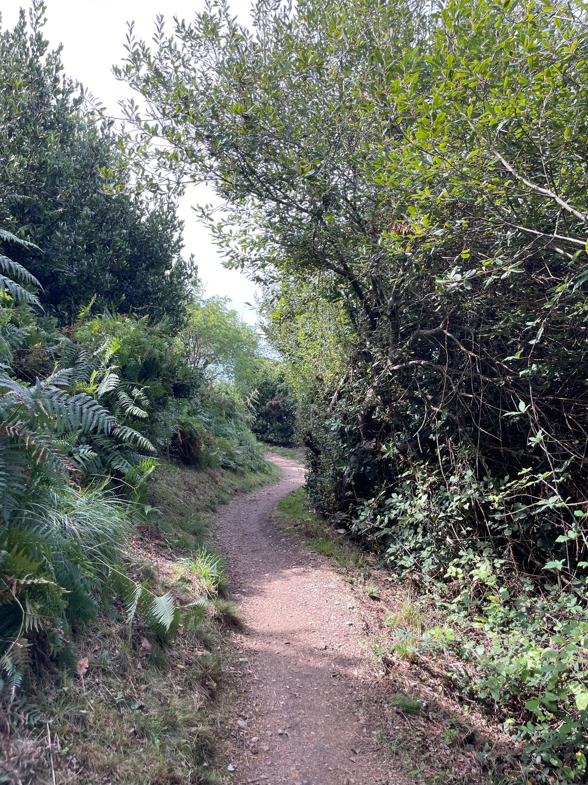 Returning to Yourself with the Season: By Jessica Moriber.