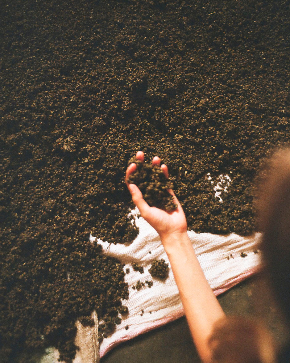 Organic black pepper supplier in Sri Lanka