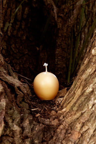 Organic Beeswax Candle